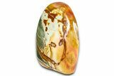 Free-Standing Polished Polychrome Jasper - Madagascar #360481-1